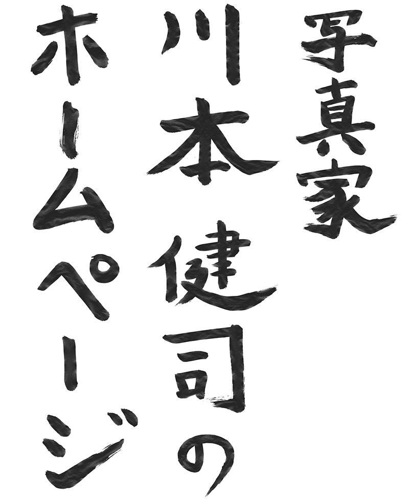 写真家川本健司のホームページ